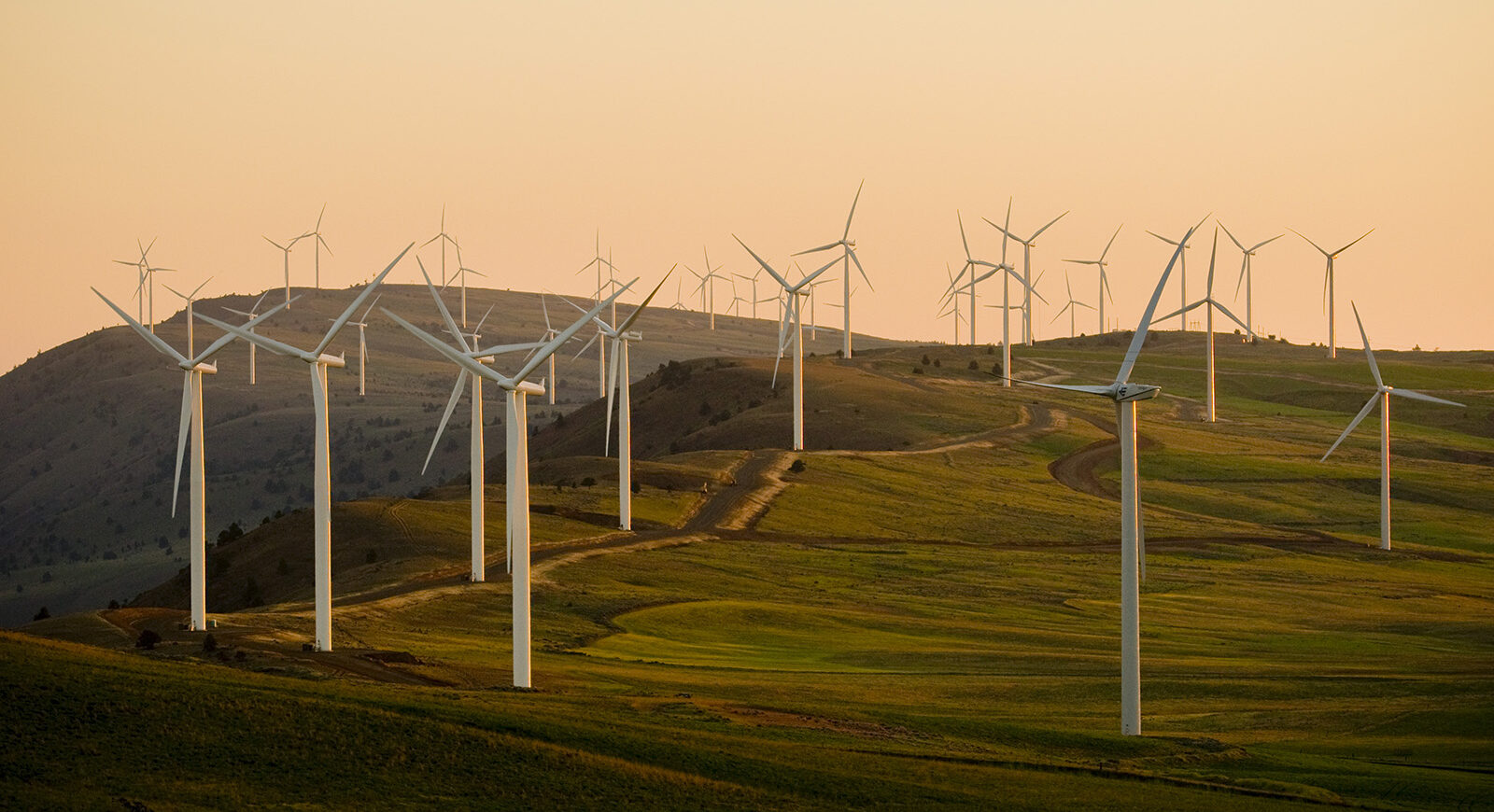 Open plain with wind turbines all over at dusk