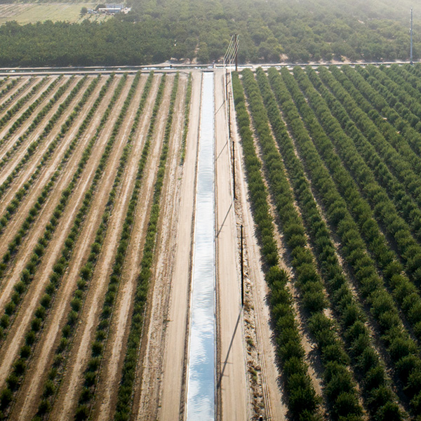 Canal between orchards