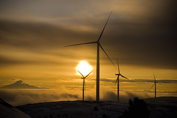 Wind farm at sunset