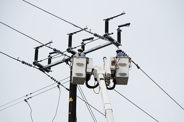 Two electrical service workers inspect a powerline.