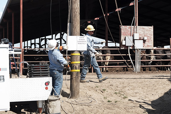Two men in hard hats inspect power lines in front of a barn with cattle.