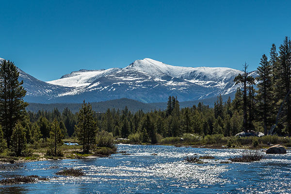 a river with trees around it and a snow-capped mountain