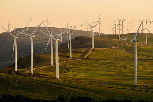 Wind turbines sprawl across green, hilly terrain.