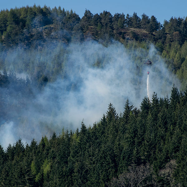 Helicopter extinguishing forest fire.