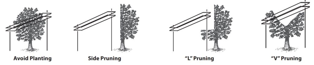 Drawings of tree trimming methods with the following labels: avoid planting, side pruning, L pruning, V pruning.