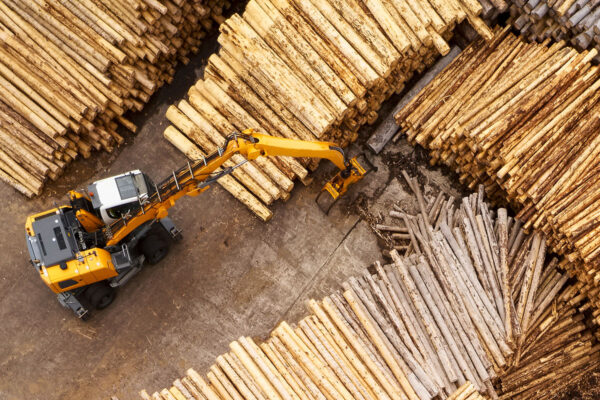 Aerial view of sawmill and chopped wood log stacks in a row.