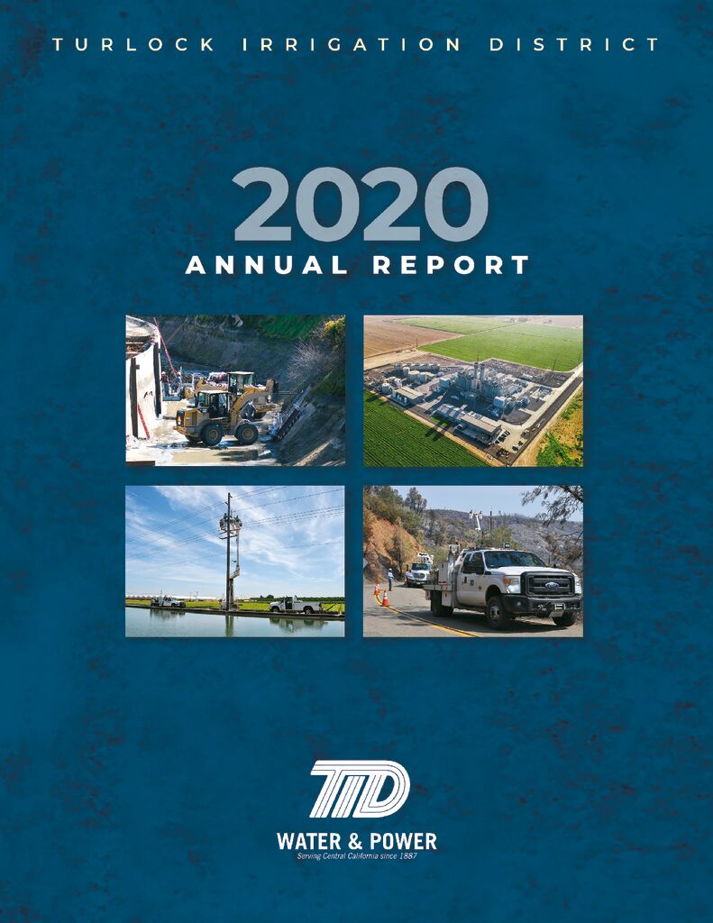 thumbnail of TID 2020 Annual Report_Final-spread
