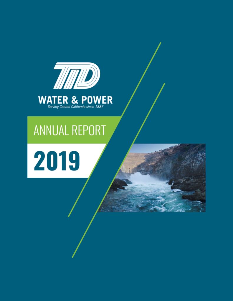 thumbnail of TID_2019_AnnualReport_DIGITAL