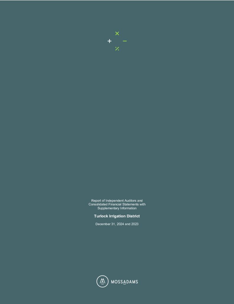 thumbnail of TID 2024 Audit – FS Report – Final