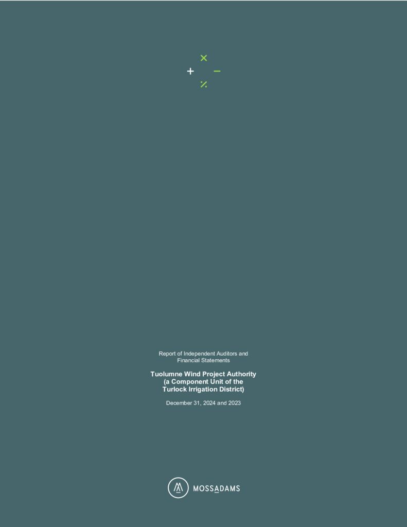thumbnail of TWPA 2024 Audit – FS Report – Final