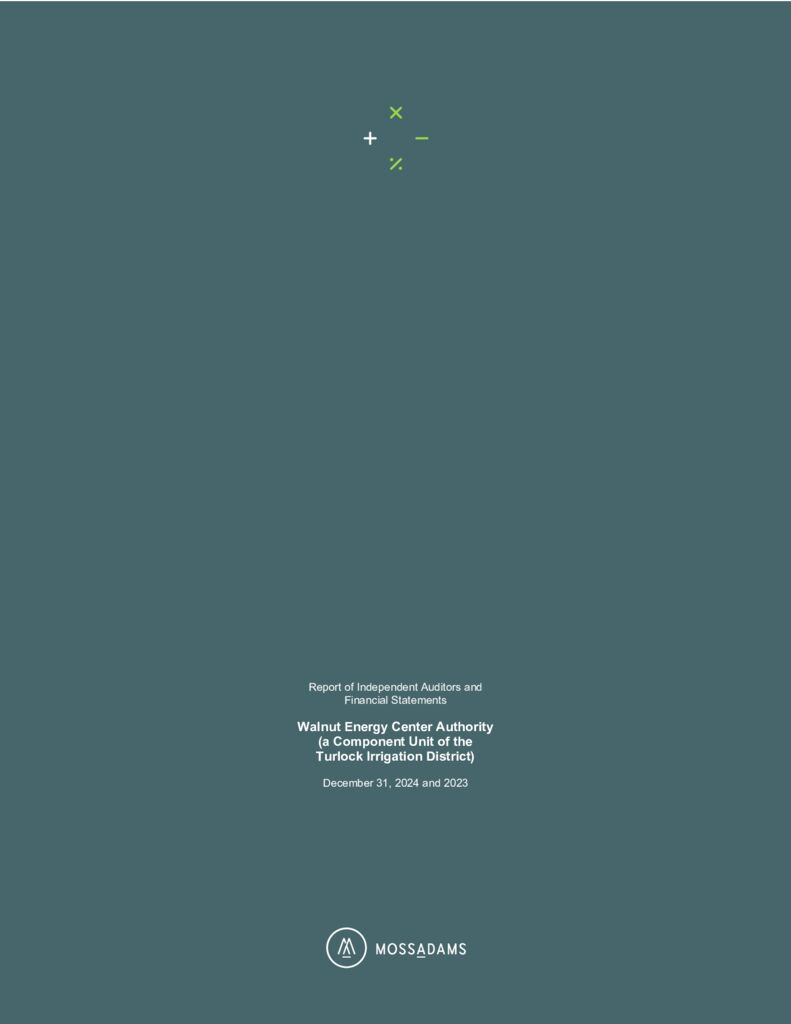 thumbnail of WECA 2024 Audit – FS Report – Final